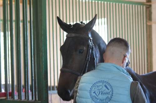 DSC_3742
